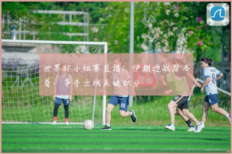 世界杯小组赛直播：伊朗迎战摩洛哥，争夺出线关键积分