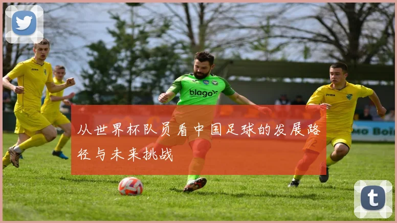 从世界杯队员看中国足球的发展路径与未来挑战