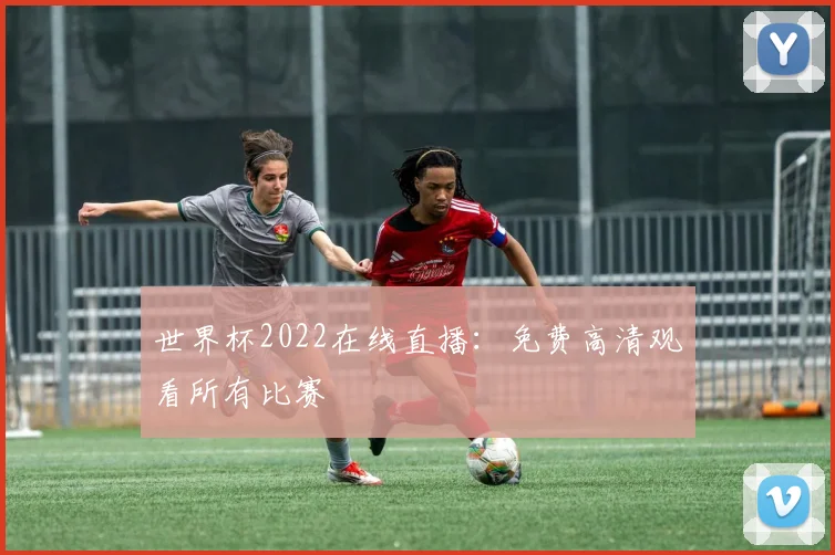 世界杯2022在线直播：免费高清观看所有比赛